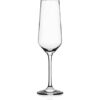 Rastal harmony champagne glazen 21.3 cl set van 6
